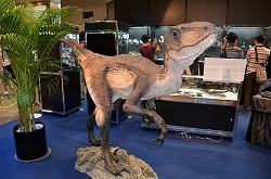 ꡼ No.011 | ե奢ʤӤäŷνʪ⤢ä֥եƥХ2011βơϡץݡ