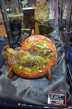 ꡼ No.013 | ե奢ʤӤäŷνʪ⤢ä֥եƥХ2011βơϡץݡ