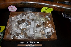 ꡼ No.014 | ե奢ʤӤäŷνʪ⤢ä֥եƥХ2011βơϡץݡ