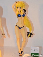 ꡼ No.050 | ե奢ʤӤäŷνʪ⤢ä֥եƥХ2011βơϡץݡ