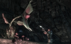 ꡼ No.003Υͥ / Fallout New VegasDLC2ơHonest HeartsפƤۿͽ