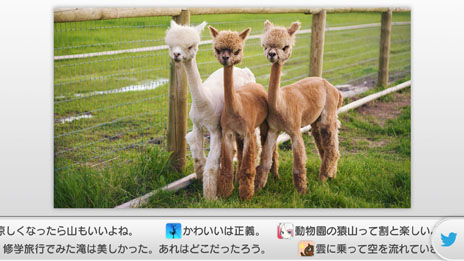 ꡼ No.002 | torneפΥåץǡȡȥС4.2ɤۿϿ褷Ȥõ֥ӥǥǽפɲä줿֥ۤ쥳ߥȥ͡פεǽѥå