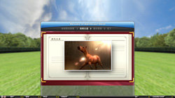 ꡼ No.038 | [AM硼2011] ֥ܡ֥쥤 Сȡפʤ¿ο͵ʤŸ֥ե󥿥פΥ륲о줷֡ݡ