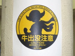 画像集#010のサムネイル/「ボーダーブレイク スクランブル Ver.4.0」最新情報が公開された「ボダりな祭 2014」レポート。謎のカウントダウンサイトも登場し,会場は大盛り上がり