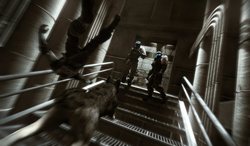 ꡼ No.029Υͥ / ʷϵηˤɼϢȥħΡDEAD TO RIGHTS: RETRIBUTIONס78ȯ䡣ȿΩο˽