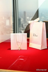 ���������꡼ No.003�Υ���ͥ������ / �Ȳ���ɤۤ��Τ��������ȯɽ��˸��롣��Yahoo!��Х��� Special Xmas ���٥�� 2010�ס�ϻ���ڥҥ륺�ˤ�12��25���ޤǳ�����