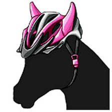 画像ギャラリー No.005のサムネイル画像 / 「ダービー×ダービー」で,「第7回キングダービー杯 with 岡部玲子」開催