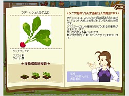 画像ギャラリー No.006のサムネイル画像 / 農園シミュレーションゲーム「ハッピーベジフル」がYahoo! Mobageに登場