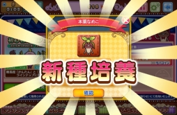 ꡼ No.006 | ֤ʤᤳפYahoo! MobageۿϡʤᤳɤɤѤ⤦