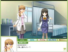 ꡼ No.008Υͥ / ʬŷȤƤʤر䥳ߥ˥󤬳ڤ롤֥饦رॢɥ٥㡼֥ե׸Ȥץ