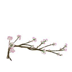 ꡼ No.010Υͥ / ֥եפǤָ٥Ȥšॻ󥿡⥪ץ