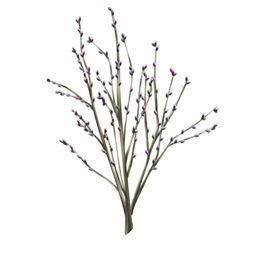 ꡼ No.011Υͥ / ֥եפǤָ٥Ȥšॻ󥿡⥪ץ