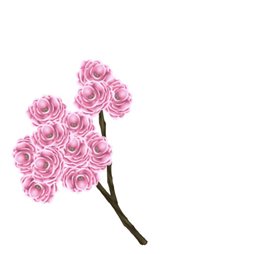 ꡼ No.012Υͥ / ֥եפǤָ٥Ȥšॻ󥿡⥪ץ