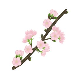 ꡼ No.013Υͥ / ֥եפǤָ٥Ȥšॻ󥿡⥪ץ