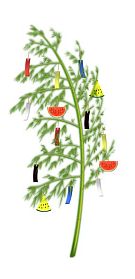 ���������꡼ No.022�Υ���ͥ������ / �֥����ե�ס���ͼ���٥�Ȥ򳫺��档�ֺ�����פ���館�뿷�ޥåפ��о�