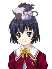 ꡼ No.015Υͥ / ֥ե׽γرסưספȡܥХʤɤ