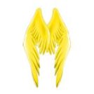 ꡼ No.033Υͥ / ֥ե׽γرסưספȡܥХʤɤ