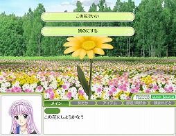 ������#003�Υ���ͥ���/�֥����ե�ס����ꤤ��ֿ����Ȥäƥ���ƥꥢ�䥢�������꡼�򽸤�褦