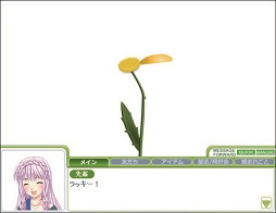 ������#004�Υ���ͥ���/�֥����ե�ס����ꤤ��ֿ����Ȥäƥ���ƥꥢ�䥢�������꡼�򽸤�褦