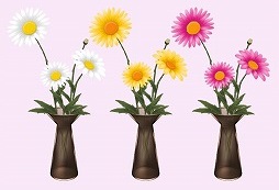 ������#007�Υ���ͥ���/�֥����ե�ס����ꤤ��ֿ����Ȥäƥ���ƥꥢ�䥢�������꡼�򽸤�褦