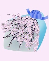 ������#011�Υ���ͥ���/�֥����ե�ס����ꤤ��ֿ����Ȥäƥ���ƥꥢ�䥢�������꡼�򽸤�褦