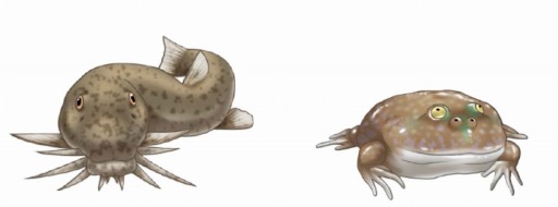 ������#006�Υ���ͥ���/�֥����ե�ס���Ω4��ǯ��ǰ����ܥ졼�����ˡ֥��쥸��ʥ����ܡפ��о�