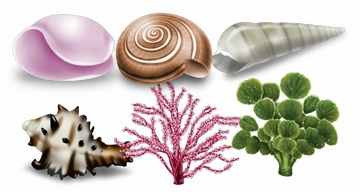 画像ギャラリー No.018のサムネイル画像 / 「キャラフレ」スイカ割りなどが楽しめる臨海学校イベントを7月31日まで開催