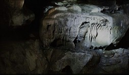 ֥եסʡ縩νιԤõˬƶõڤ⤦