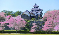 ֥եסʡ縩νιԤõˬƶõڤ⤦