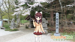 ꡼ No.009Υͥ / ֥եפǡȤʤڡɤ롣ΤΥ饤֤