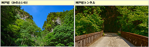 ꡼ No.006 | ֥եפԻŷǰʪֿʹץޥåפ