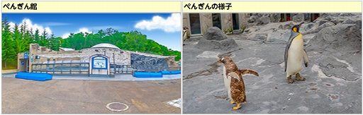 ꡼ No.019Υͥ / ֥եסֽιԥ٥ȡפޥåפ