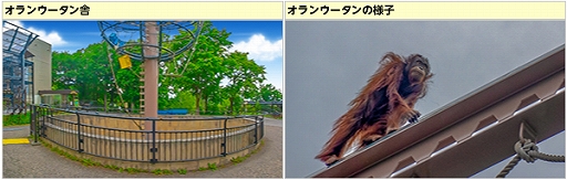 ꡼ No.021Υͥ / ֥եסֽιԥ٥ȡפޥåפ