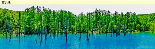 ꡼ No.025Υͥ / ֥եסֽιԥ٥ȡפޥåפ