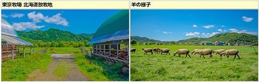 ꡼ No.026Υͥ / ֥եסֽιԥ٥ȡפޥåפ