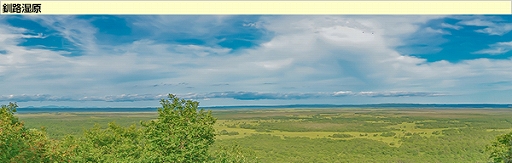 ꡼ No.027Υͥ / ֥եסֽιԥ٥ȡפޥåפ