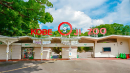 ꡼ No.011Υͥ / ֥եפǽιԥ٥Ȥ911缡šʼ˸ο͡ɱϩøϩ