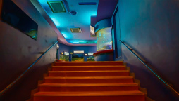 ꡼ No.014Υͥ / ֥եפǽιԥ٥Ȥ911缡šʼ˸ο͡ɱϩøϩ