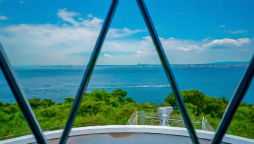 ꡼ No.016Υͥ / ֥եפǽιԥ٥Ȥ911缡šʼ˸ο͡ɱϩøϩ