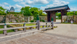 ꡼ No.029Υͥ / ֥եפǽιԥ٥Ȥ911缡šʼ˸ο͡ɱϩøϩ