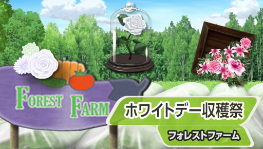 ꡼ No.002 | ֥եץۥ磻ȥǡơޤˤ٥Ȥ