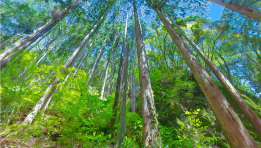 ꡼ No.006 | ֥եץۥ磻ȥǡơޤˤ٥Ȥ