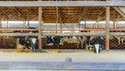 ꡼ No.011 | ֥եפ2021ǯ´ιԥ٥Ȥ311»