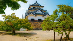 ꡼ No.012 | ֥եפ2021ǯ´ιԥ٥Ȥ311»