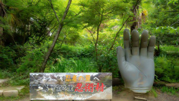 ꡼ No.017 | ֥եפ2021ǯ´ιԥ٥Ȥ311»