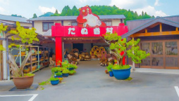 ꡼ No.020 | ֥եפ2021ǯ´ιԥ٥Ȥ311»