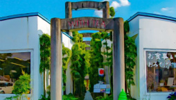 ꡼ No.022 | ֥եפ2021ǯ´ιԥ٥Ȥ311»