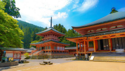 ꡼ No.024 | ֥եפ2021ǯ´ιԥ٥Ȥ311»