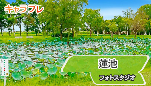 ꡼ No.008 | ֥եס٥ȡȻ۲֤ޤĤɤ򳫺