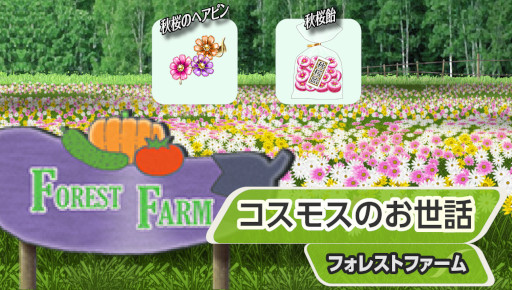 ꡼ No.002Υͥ / ֥եסΰסɥ٥Ȥ108鳫š18ܤΥߥ˥बо